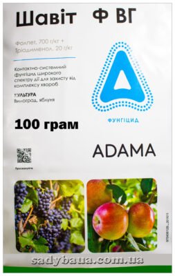 Від чого допомагає шивіт: ключові переваги та лікувальні властивості