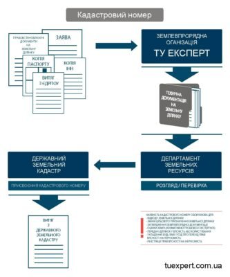 Від чого залежать ціни на кадастровий номер: ключові фактори впливу Від чого залежать ціни на кадастровий номер: ключові фактори впливу