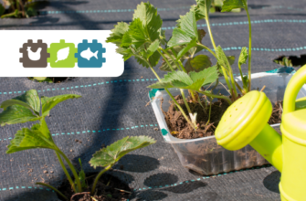 Відгуки про агротканину від бур’янів: досвід використання та ефективність