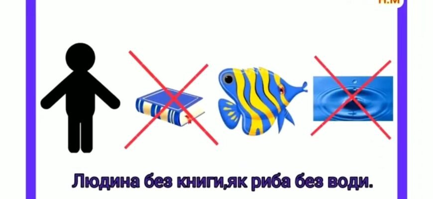 Відмінності між приказками та прислів’ями: ключові особливості та значення