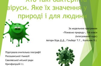 Віруси та бактерії: головні відмінності та їх вплив на організм
