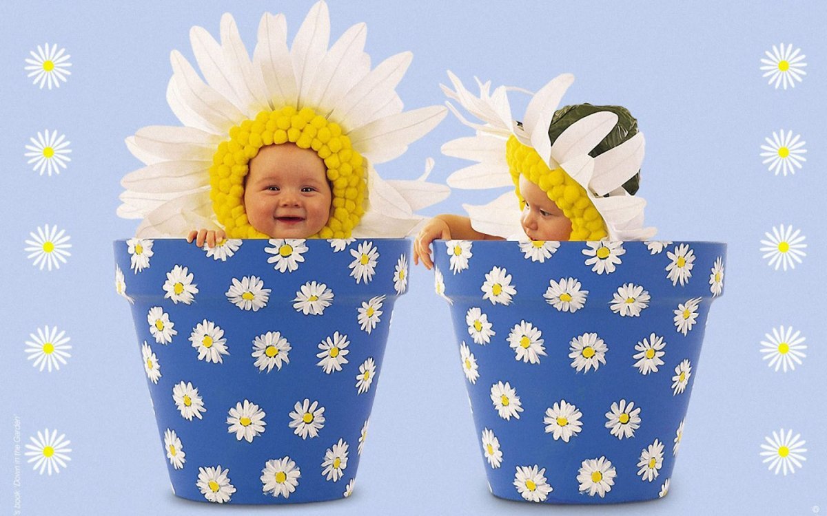 З днем ​​народження двійнят - листівки