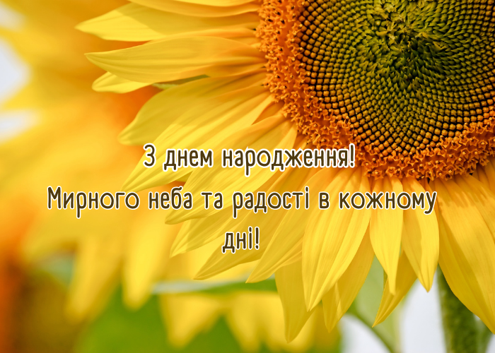 Привітання з днем народження | Вітання в Прозі та Листівки