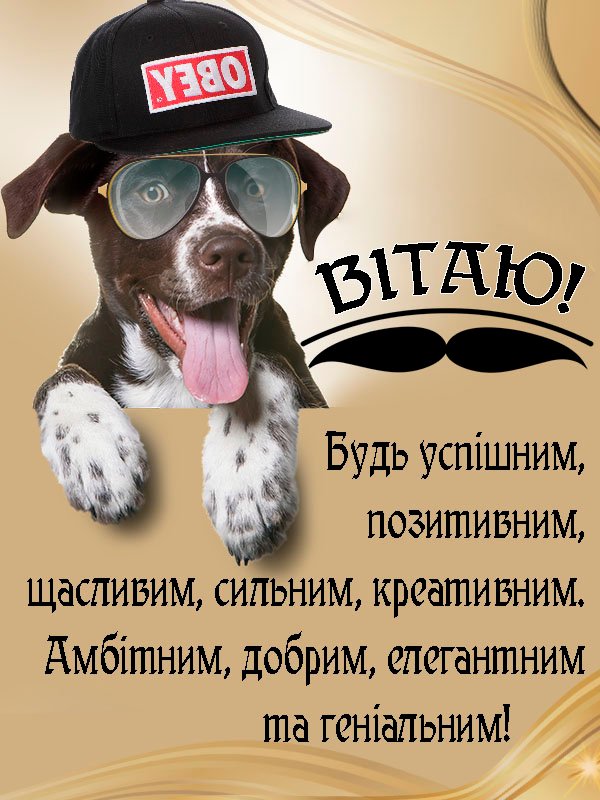 Нові Привітання Онука з Днем Народження - Побажайко
