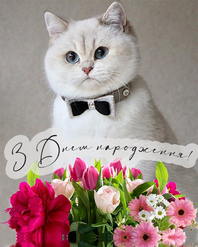 Привітання з днем народження племінниці | Khmelnytskyi Today