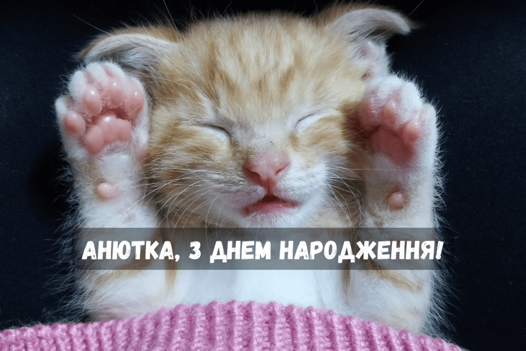 З Днем Народження Аня, Анюта 🌷 Проза, Вірші, Картинки