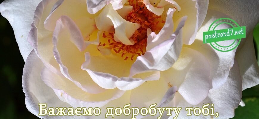 Вітаємо Іру: Знайдіть найкращі картинки до Дня народження Іри!
