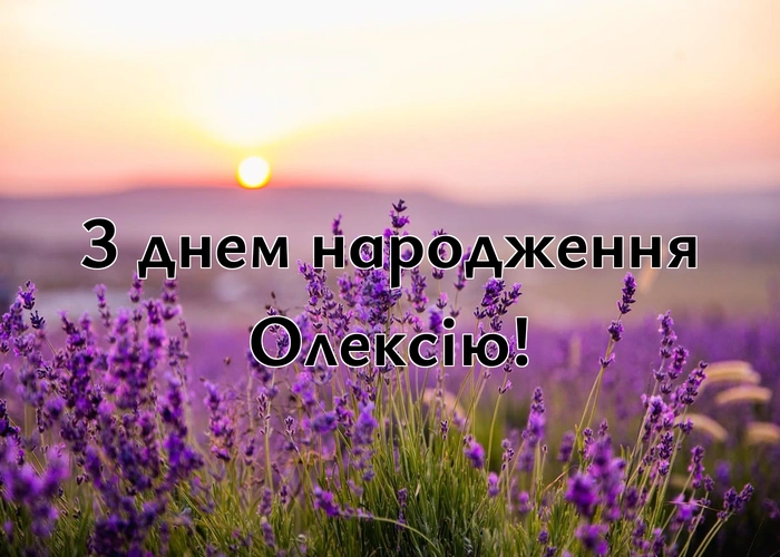 Топ-10 найкращих привітань з днем народження Льоша- Олексій ...