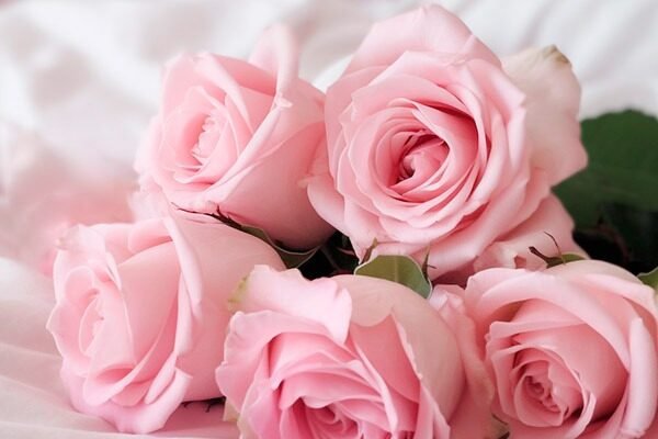 Оберіть найкращі картинки привітань з днем народження для подруги ...