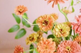 Вітаємо, Тамаро, з Днем народження: щирі побажання та привітання!