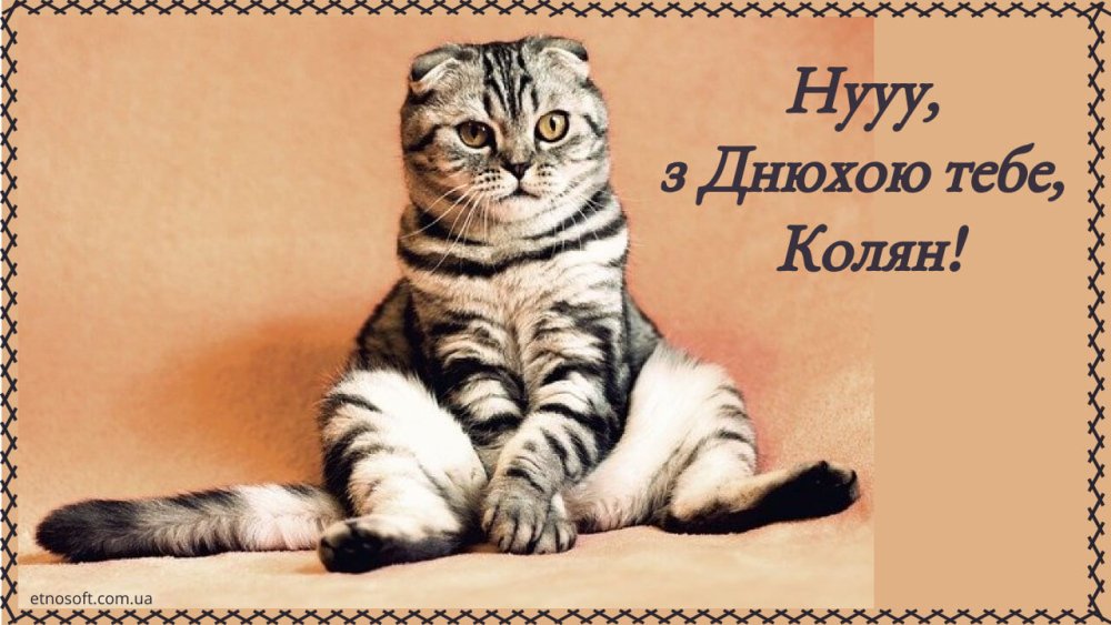 Привітання Миколі з Днем народження: своїми словами, у віршах ...