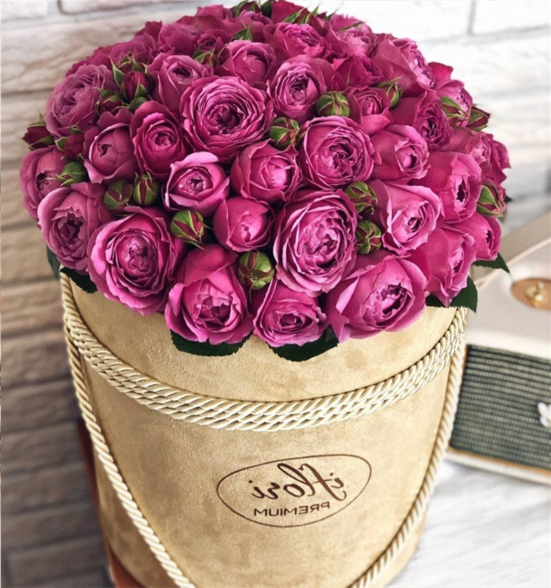 Привітання з Днем вихователя до сліз, у прозі