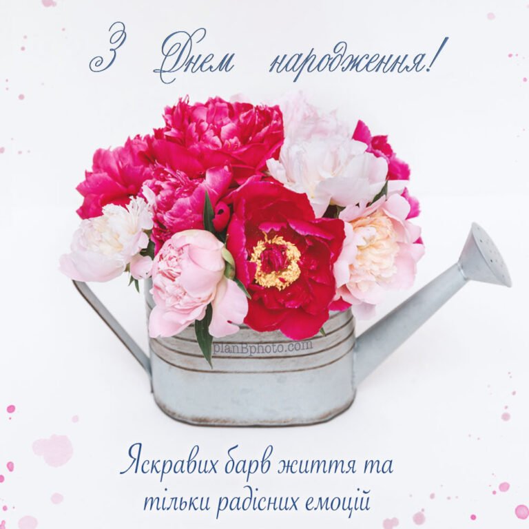 Привітання з півоніями з днем народження: нові картинки