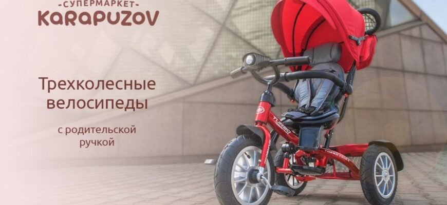 Вибір першого велосипеда з ручкою для дитини від 1 року: на що звернути увагу