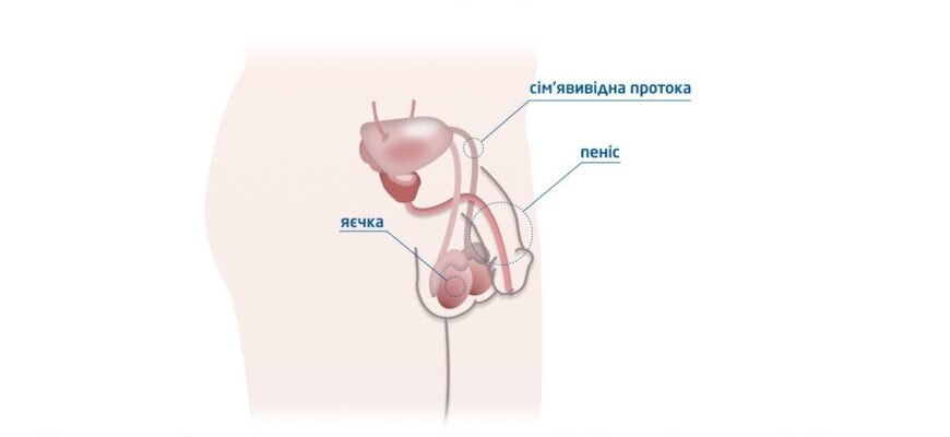Як ефективно позбутися проблеми швидкого сім’явиверження: поради та методи