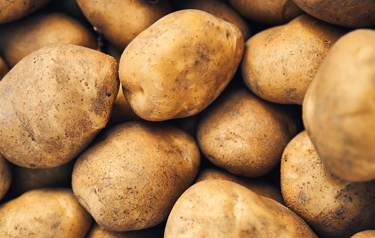 Правильне рішення для фунгіцидного захисту картоплі | Сингента Україна