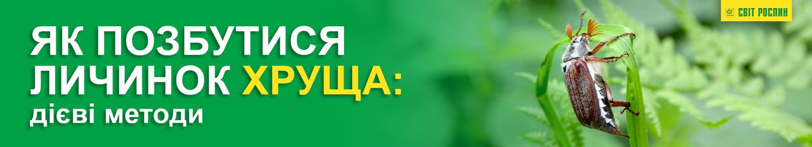 Як позбутися личинок хруща: дієві методи