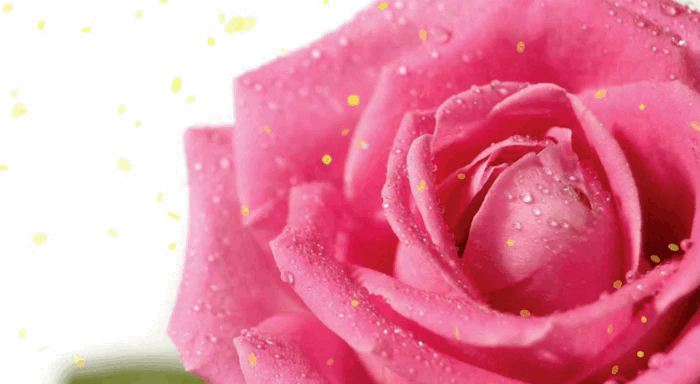 Красиві привітання польською мовою | Найкращі побажання на щодень