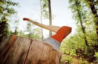 Як стан атмосфери впливає на здоров’я людей: ключові фактори та ризики