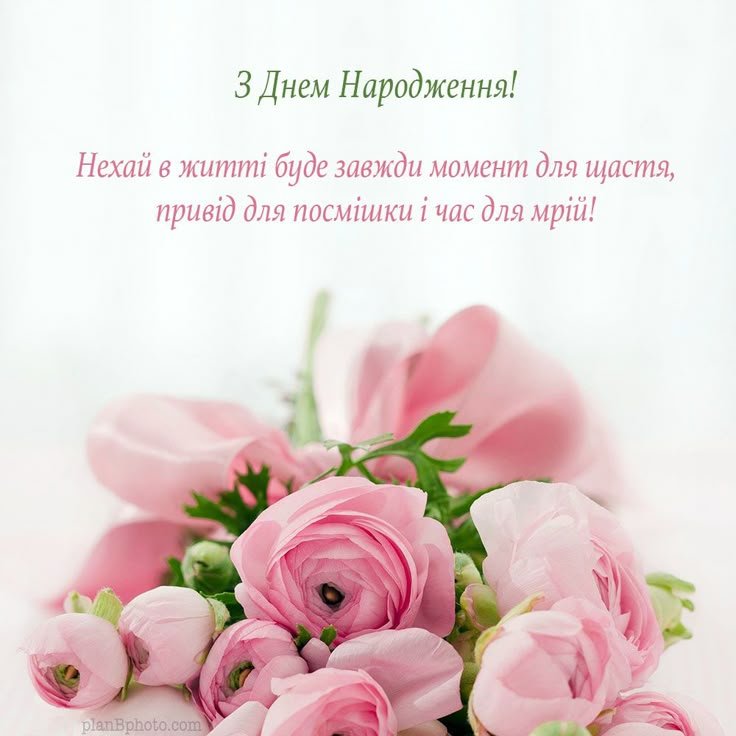 Найкращі привітання з днем народження: у віршах, прозі та ...