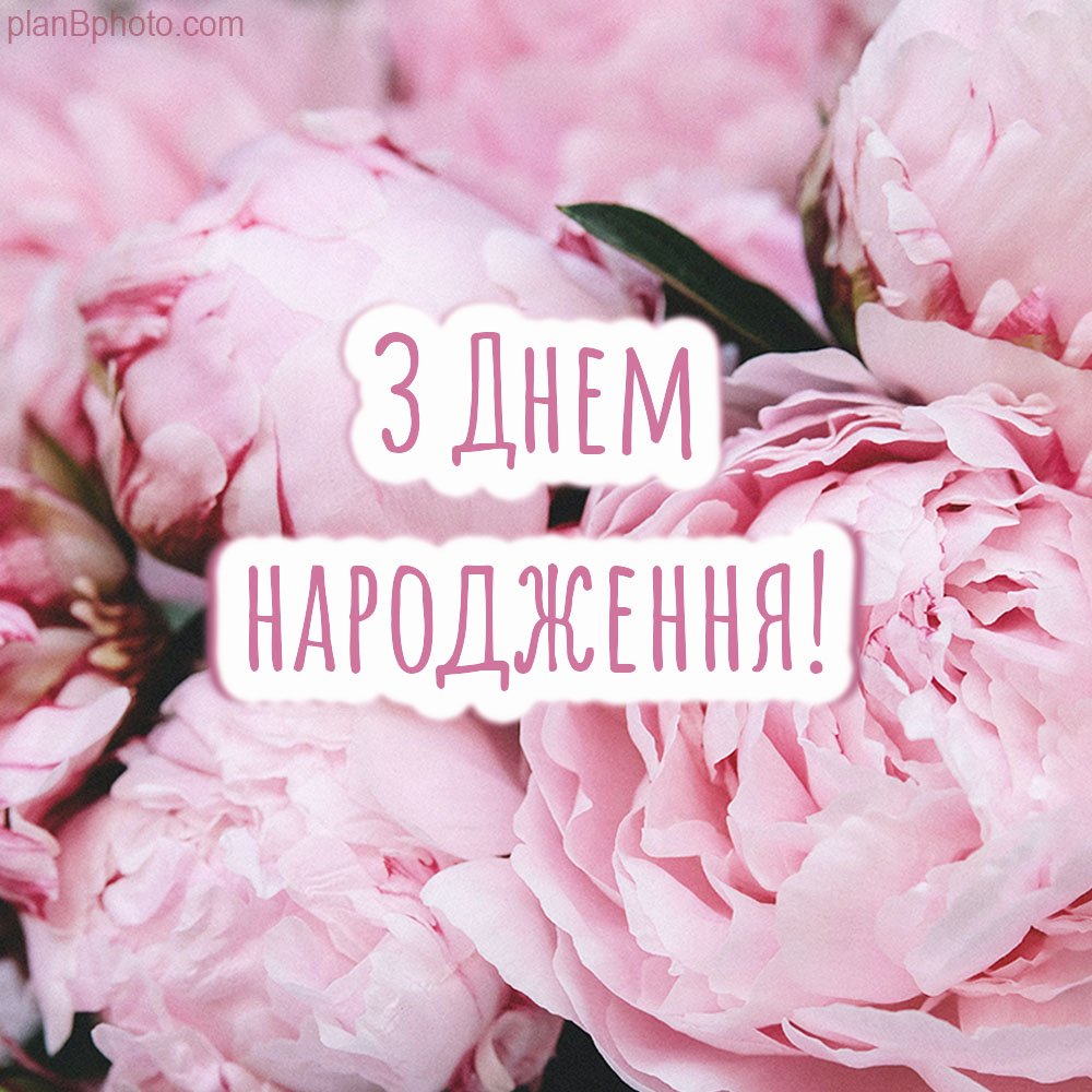 Привітання з днем народження: картинки, листівки, анімації