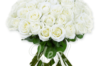 З Днем Народження! Білі Троянди – Символ Чистоти та Нових Починань