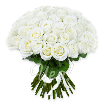 З Днем Народження! Білі Троянди – Символ Чистоти та Нових Починань