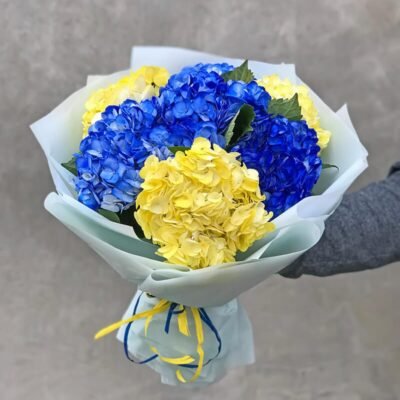 З Днем Народження, гортензії: як обрати та доглядати ці квіти З Днем Народження, гортензії: як обрати та доглядати ці квіти