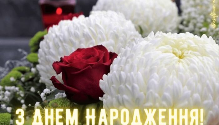 З Днем Народження Хризантеми: Святкуємо Квіткову Красу Разом