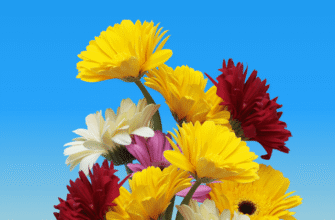 З Днем народження, красуне! Найщиріші вітання та побажання❤️