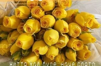 З Днем народження, Людмила: найкращі привітання та побажання!