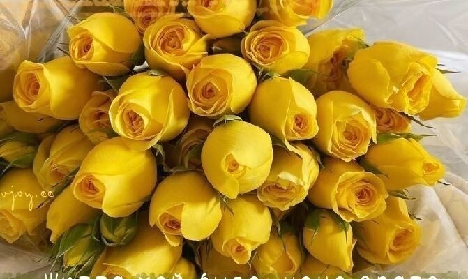 З Днем народження, Людмила: найкращі привітання та побажання!