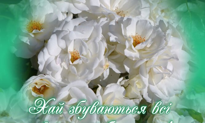 З Днем Народження, Настя: Щирі Привітання та Найкращі Побажання!