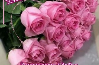 З днем народження, Олічка: найтепліші побажання для Олі