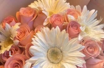 З Днем народження, Оля! Найкращі побажання та святкові ідеї