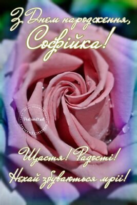 З днем народження, Софійка: яскраві та милі картинки привітань З днем народження, Софійка: яскраві та милі картинки привітань