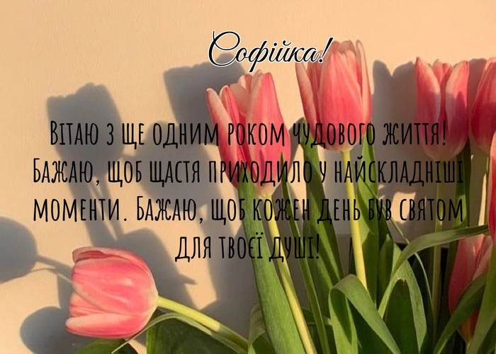 Топ-10 найкращих привітань з днем народження Соня-Софія ...