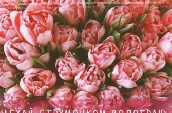 З Днем народження, Софійко: найкращі побажання та ідеї для свята