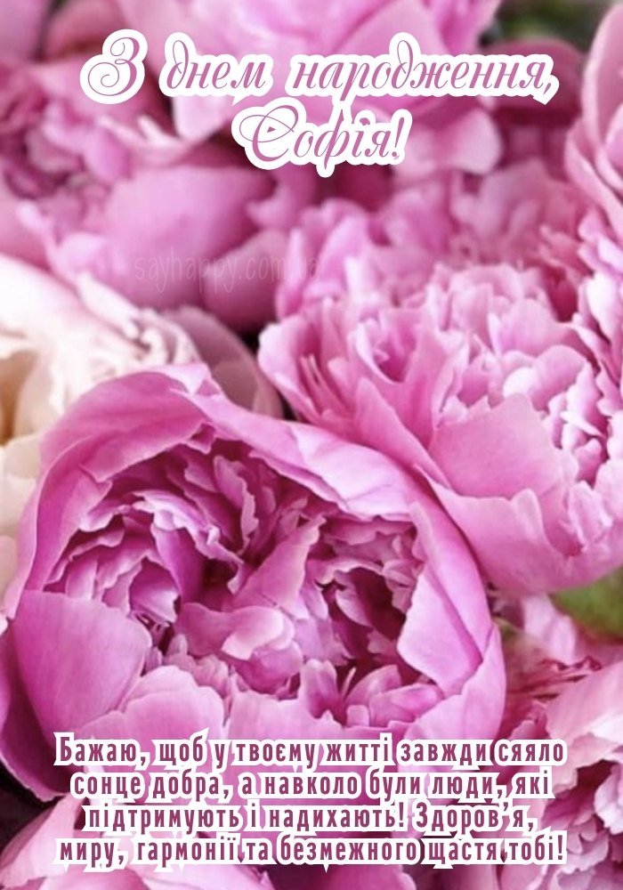 Картинки Софії на день народження (35 фото) - SayHappy