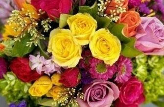 З Днем Народження, Вікуся: Побажання, Ідеї подарунків та Святкування