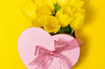 З Днем народження, жінко! Картинки з побажаннями мирного неба