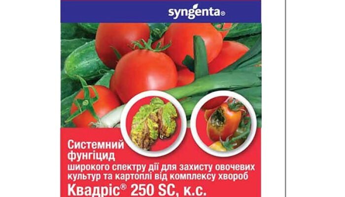 Захистіть урожай: ефективність препарату Квадріс проти фітофтори