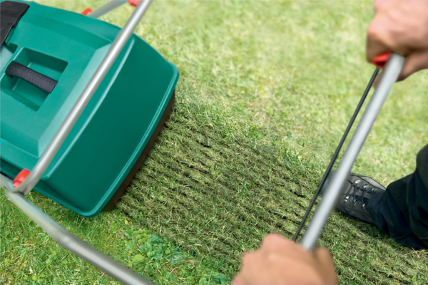 Залізний купорос: ефективний засіб проти моху на вашому газоні