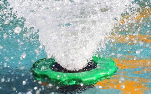Насос для ставка: як підібрати обладнання для циркуляції води